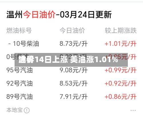 世界
油价14日上涨 美油涨1.01%-第2张图片