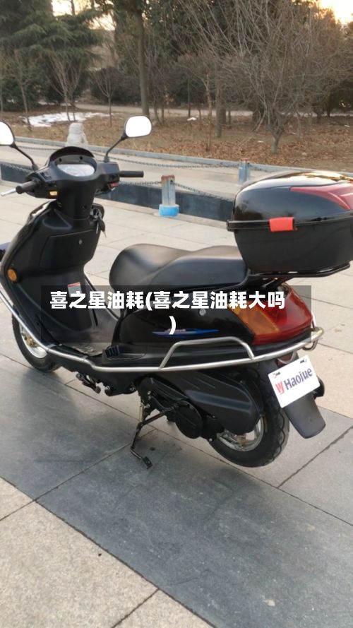 喜之星油耗(喜之星油耗大吗)-第3张图片