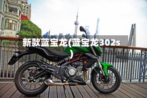 新款蓝宝龙(蓝宝龙302s)