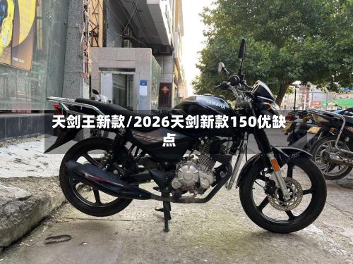 天剑王新款/2026天剑新款150优缺点-第3张图片