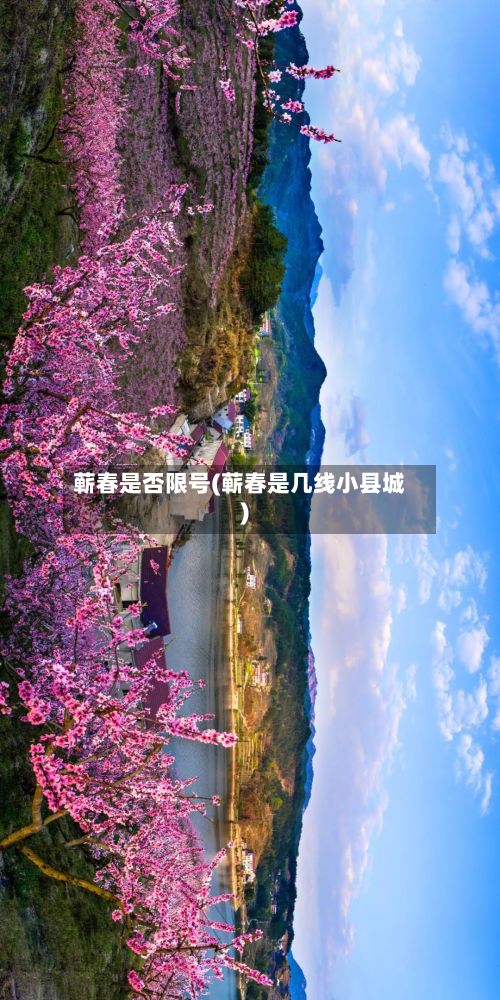 蕲春是否限号(蕲春是几线小县城)