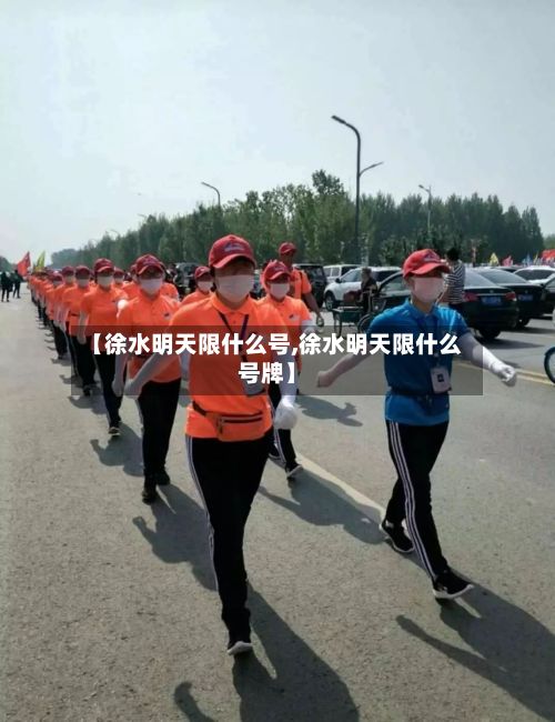 【徐水明天限什么号,徐水明天限什么号牌】