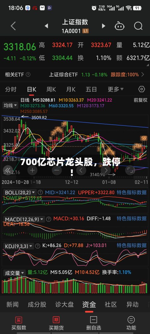 700亿芯片龙头股，跌停！-第3张图片