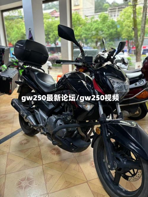 gw250最新论坛/gw250视频-第2张图片