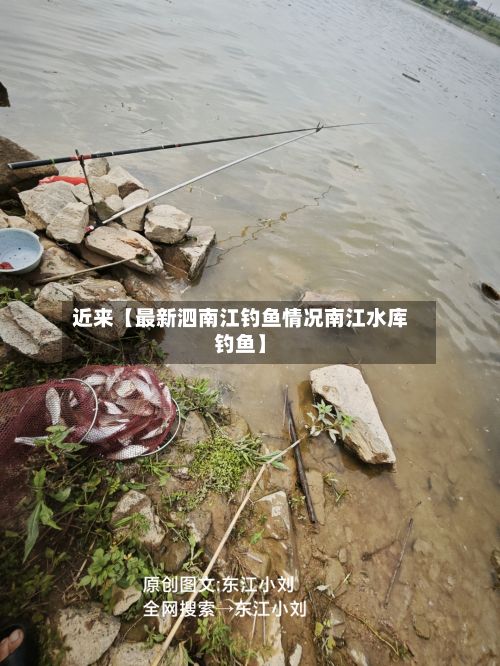 近来【最新泗南江钓鱼情况南江水库钓鱼】