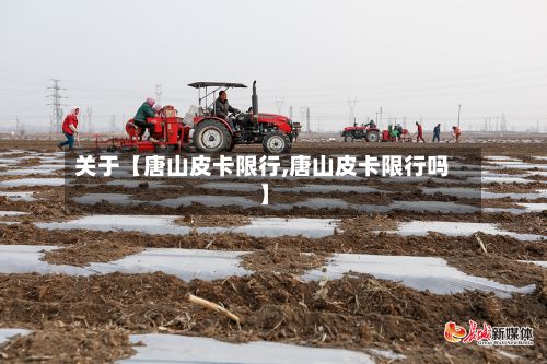 关于【唐山皮卡限行,唐山皮卡限行吗】-第2张图片