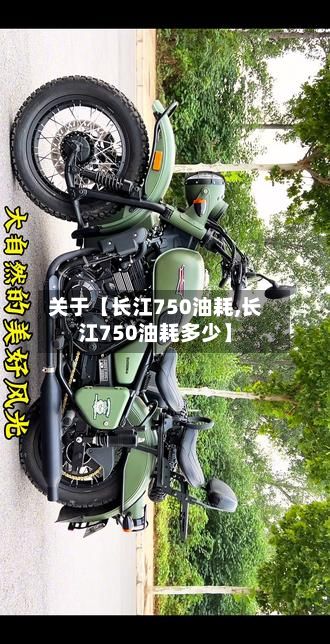 关于【长江750油耗,长江750油耗多少】-第2张图片
