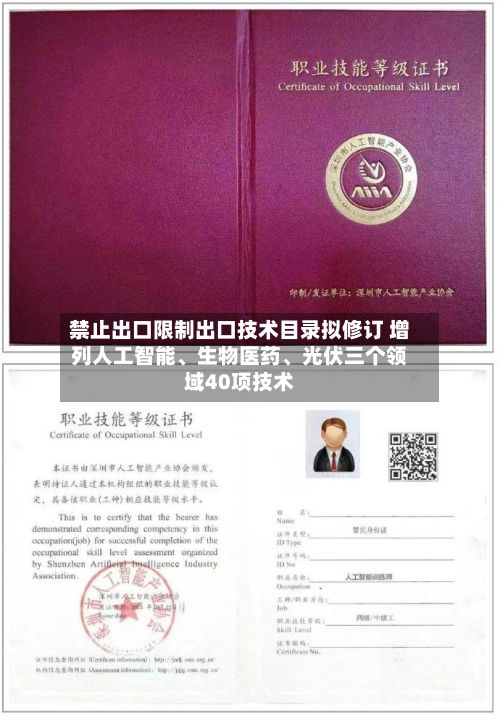 禁止出口限制出口技术目录拟修订 增列人工智能、生物医药	、光伏三个领域40项技术-第2张图片