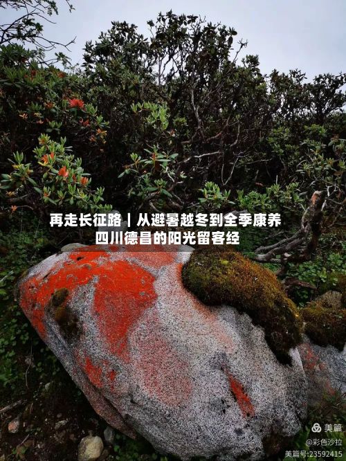 再走长征路｜从避暑越冬到全季康养 四川德昌的阳光留客经