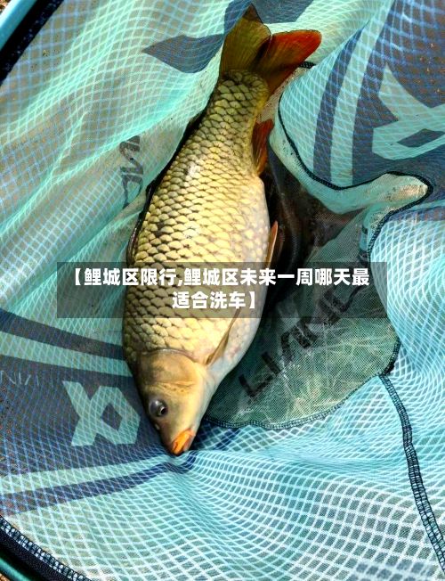 【鲤城区限行,鲤城区未来一周哪天最适合洗车】