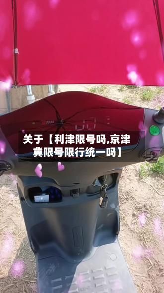 关于【利津限号吗,京津冀限号限行统一吗】-第2张图片