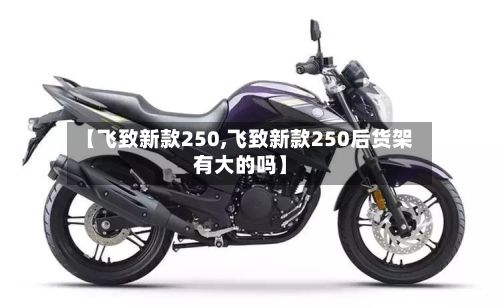 【飞致新款250,飞致新款250后货架有大的吗】