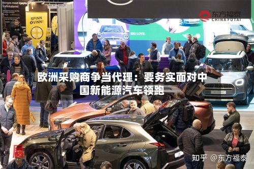 欧洲采购商争当代理：要务实面对中国新能源汽车领跑-第2张图片