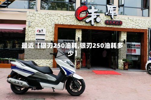 最近【银刃250油耗,银刃250油耗多少】-第3张图片