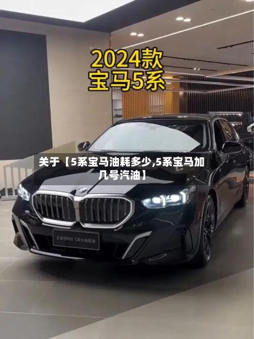 关于【5系宝马油耗多少,5系宝马加几号汽油】-第2张图片
