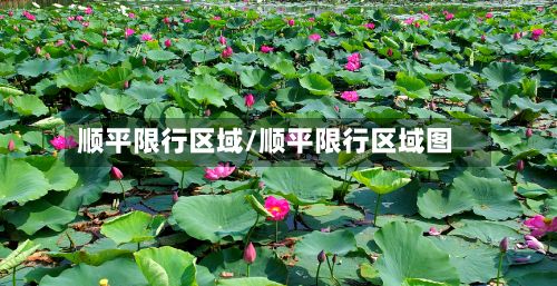 顺平限行区域/顺平限行区域图