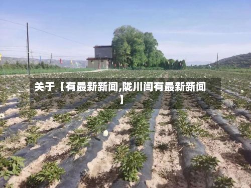 关于【有最新新闻,陇川闫有最新新闻】