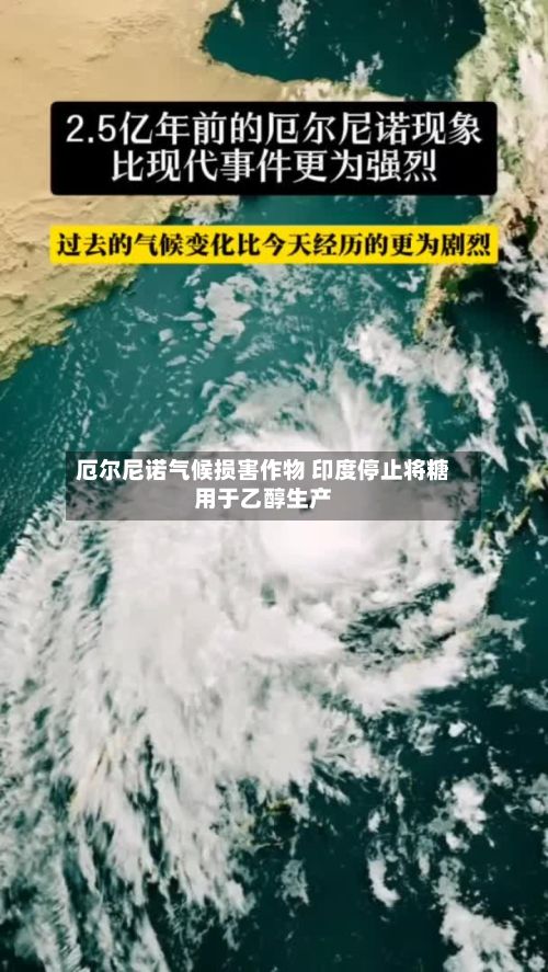 厄尔尼诺气候损害作物 印度停止将糖用于乙醇生产-第1张图片