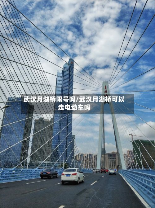 武汉月湖桥限号吗/武汉月湖桥可以走电动车吗-第2张图片