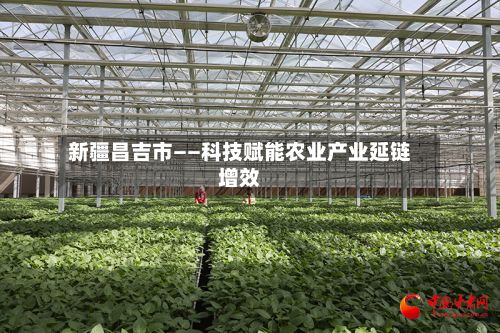 新疆昌吉市——科技赋能农业产业延链增效-第2张图片