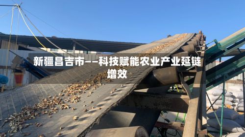 新疆昌吉市——科技赋能农业产业延链增效