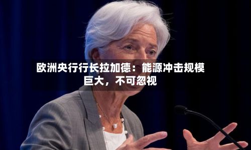 欧洲央行行长拉加德：能源冲击规模巨大，不可忽视