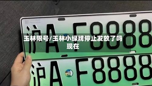 玉林限号/玉林小绿牌停止发放了吗现在