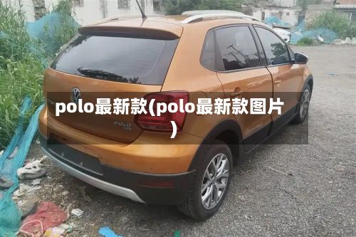 polo最新款(polo最新款图片)-第2张图片