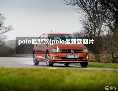 polo最新款(polo最新款图片)-第3张图片