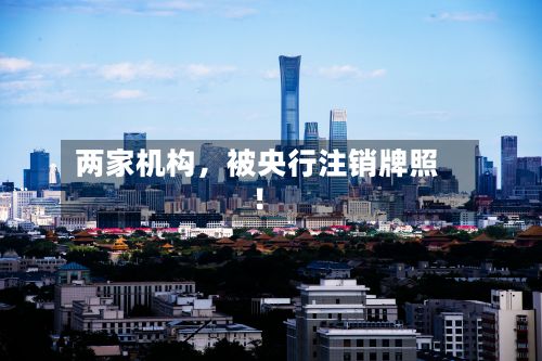 两家机构，被央行注销牌照！-第2张图片