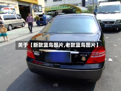 关于【新款蓝鸟图片,老款蓝鸟图片】-第2张图片