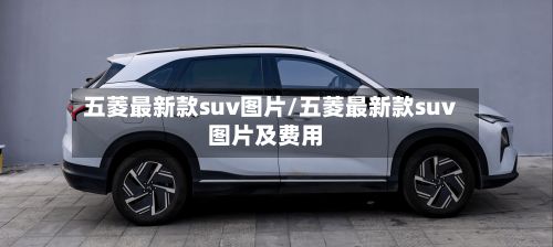 五菱最新款suv图片/五菱最新款suv图片及费用-第2张图片