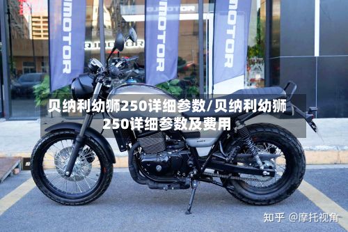 贝纳利幼狮250详细参数/贝纳利幼狮250详细参数及费用-第2张图片