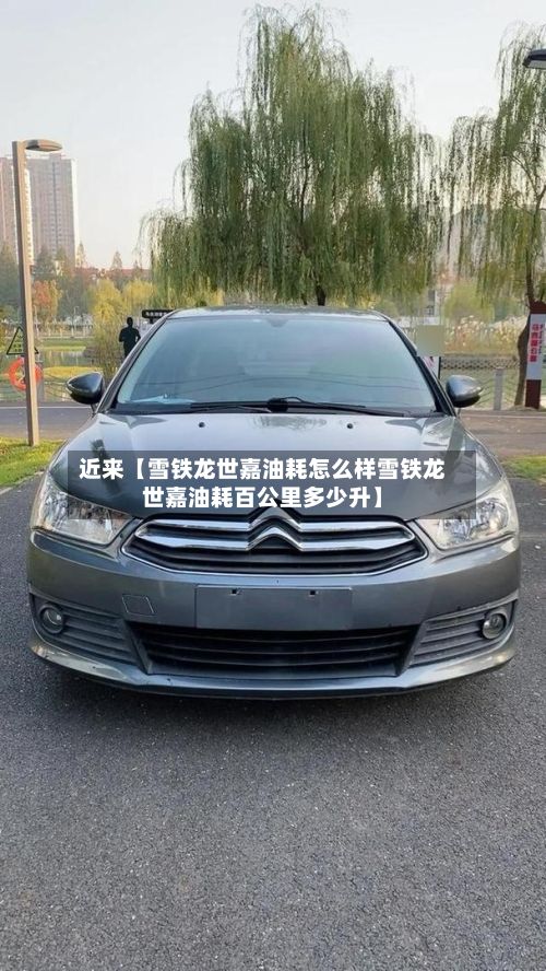 近来【雪铁龙世嘉油耗怎么样雪铁龙世嘉油耗百公里多少升】-第2张图片