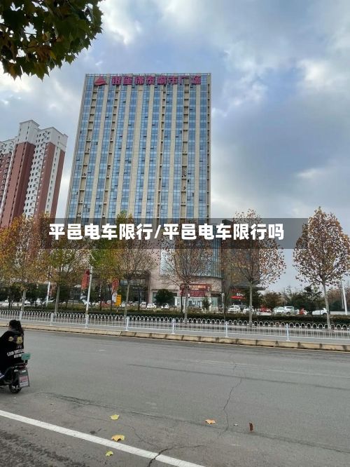 平邑电车限行/平邑电车限行吗-第2张图片