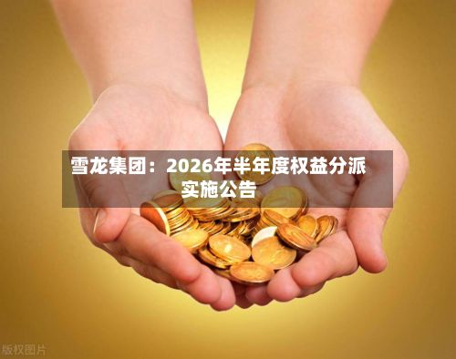 雪龙集团：2026年半年度权益分派实施公告