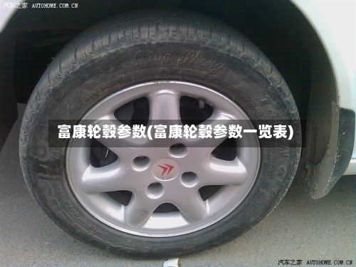 富康轮毂参数(富康轮毂参数一览表)-第2张图片