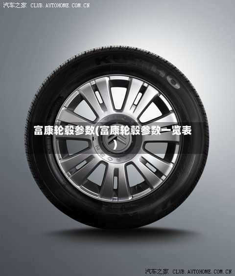 富康轮毂参数(富康轮毂参数一览表)-第3张图片