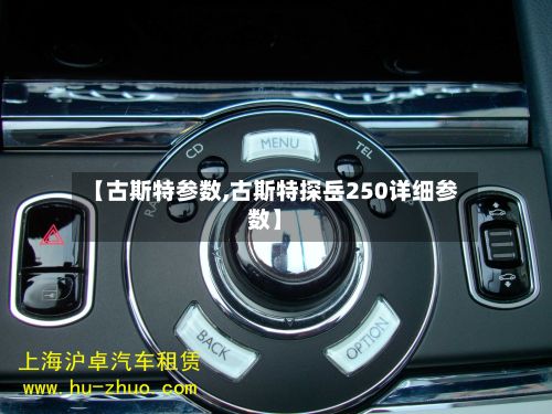 【古斯特参数,古斯特探岳250详细参数】-第2张图片