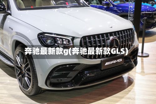 奔驰最新款g(奔驰最新款GLS)-第2张图片