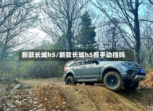 新款长城h5/新款长城h5有手动挡吗-第2张图片