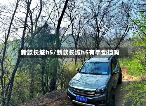 新款长城h5/新款长城h5有手动挡吗