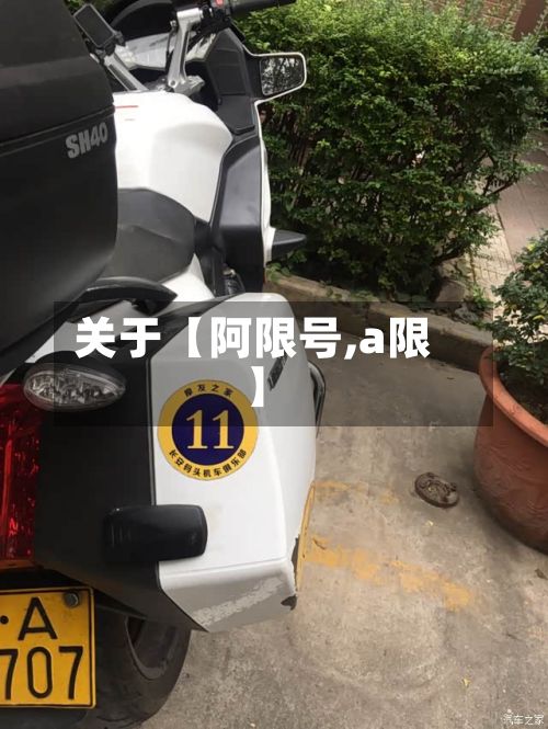 关于【阿限号,a限】-第3张图片