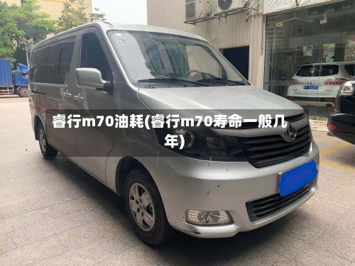 睿行m70油耗(睿行m70寿命一般几年)-第2张图片
