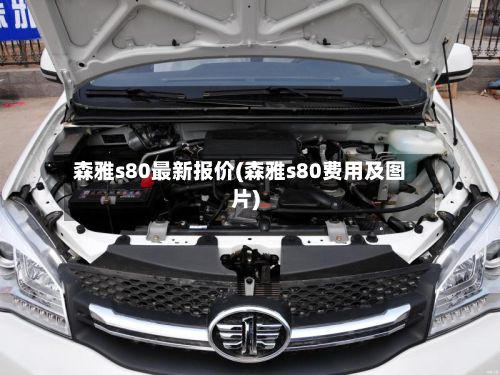 森雅s80最新报价(森雅s80费用及图片)-第2张图片