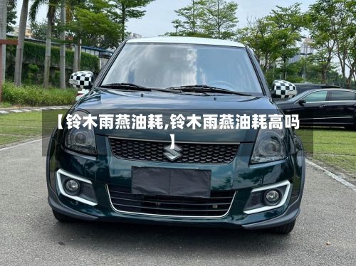 【铃木雨燕油耗,铃木雨燕油耗高吗】-第2张图片
