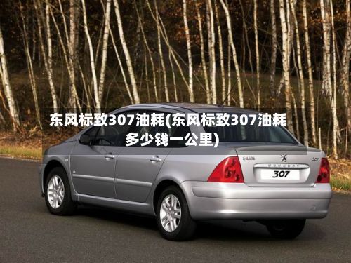 东风标致307油耗(东风标致307油耗多少钱一公里)-第2张图片