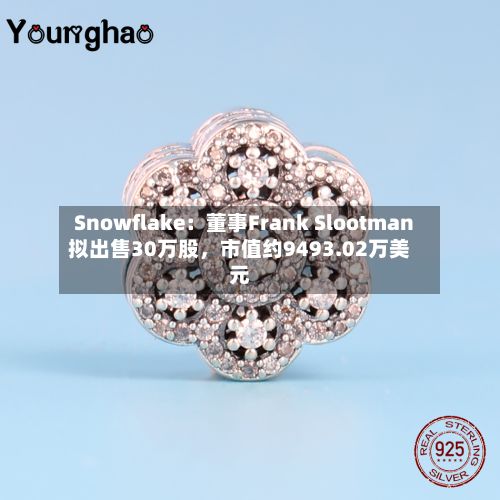 Snowflake：董事Frank Slootman拟出售30万股，市值约9493.02万美元-第2张图片