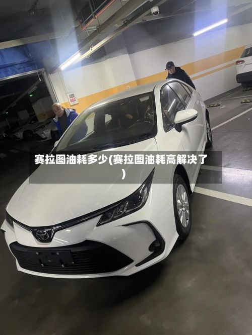 赛拉图油耗多少(赛拉图油耗高解决了)-第3张图片