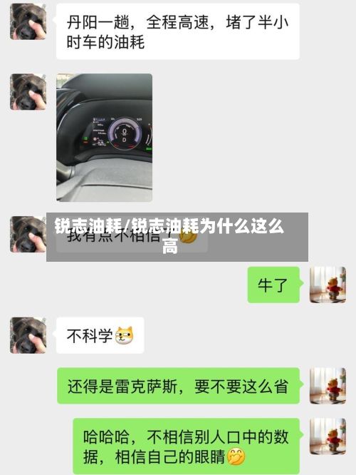 锐志油耗/锐志油耗为什么这么高-第2张图片